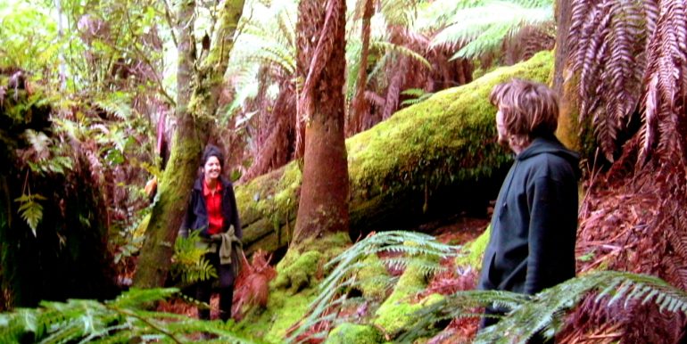 Billie and Rappie in Rainforest